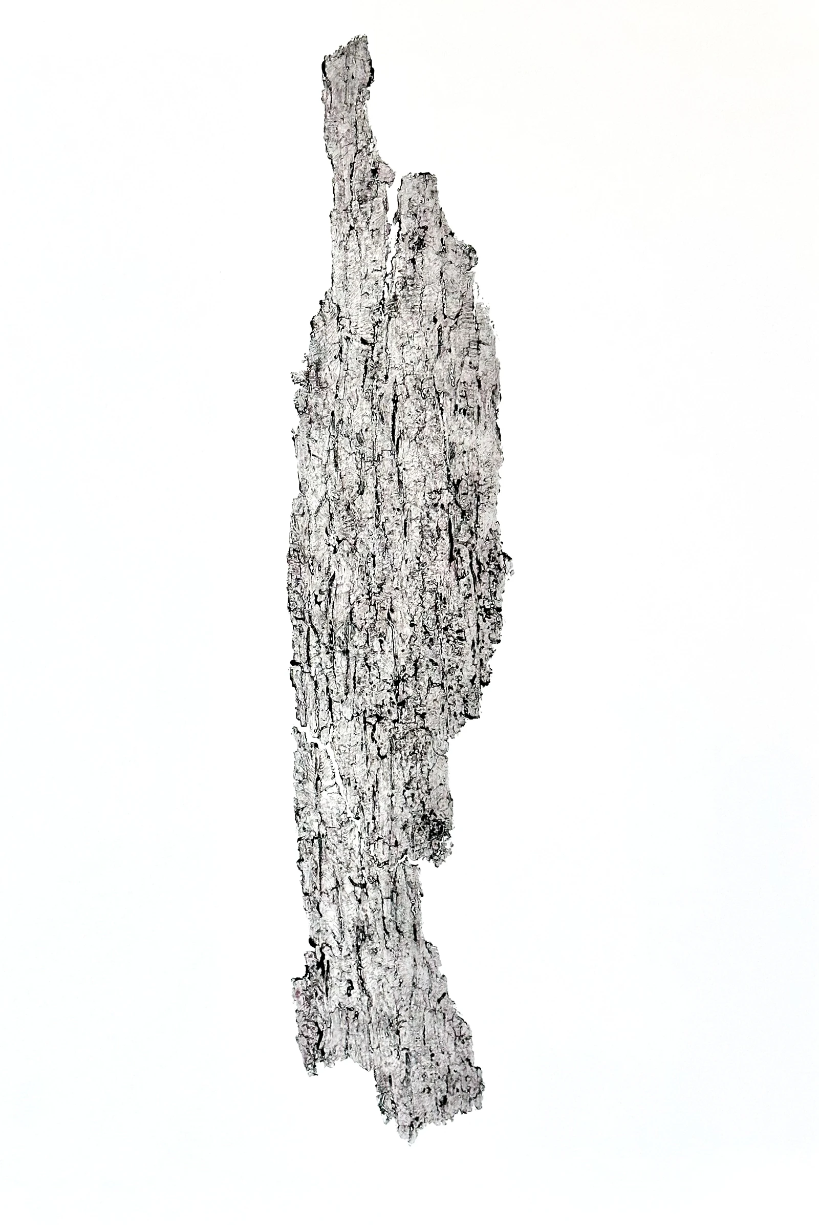 Forest Savings Book — print thumbnail