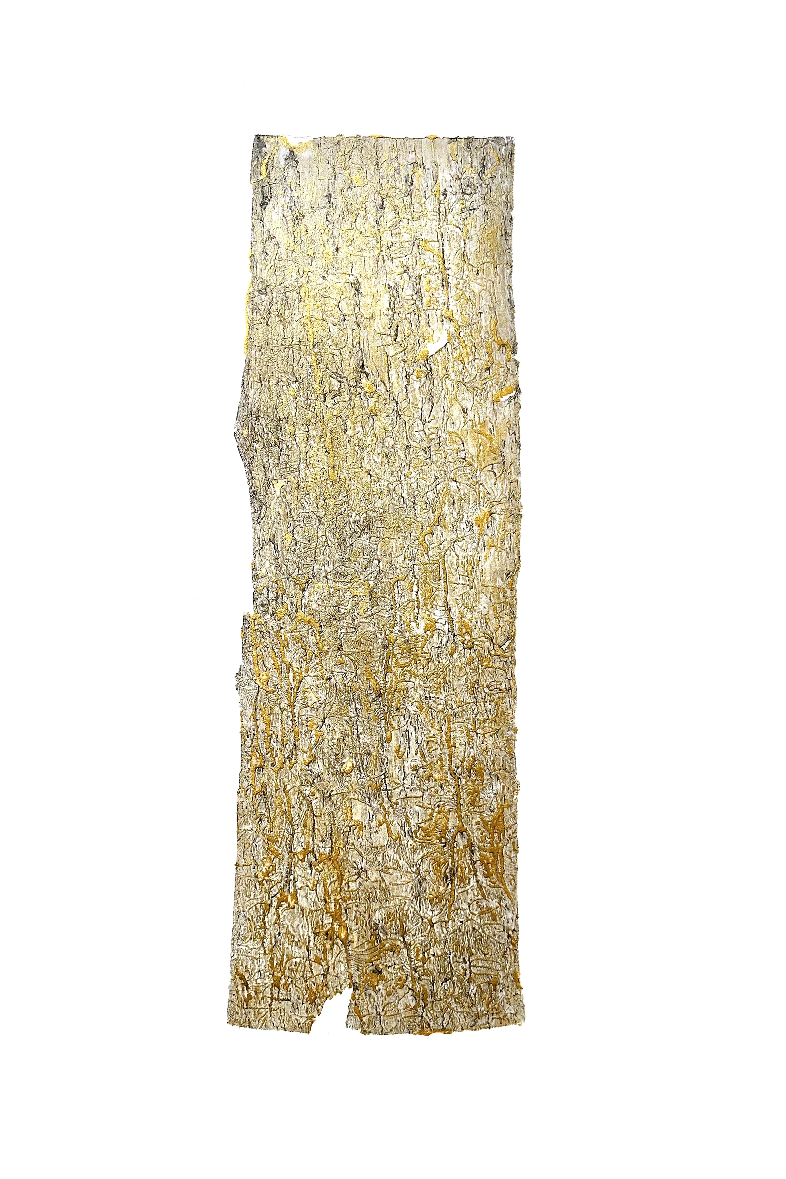 In the Chthulucene — print thumbnail